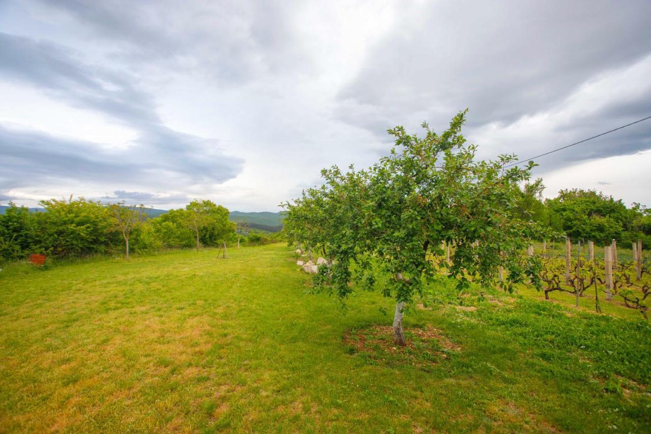 Casa Di Oliva-House With Heated Pool & Jacuzzi In Trilj, Croatia Vila Exterior foto