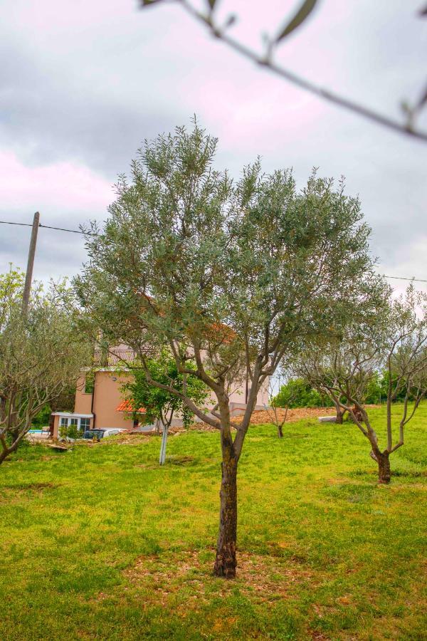 Casa Di Oliva-House With Heated Pool & Jacuzzi In Trilj, Croatia Vila Exterior foto